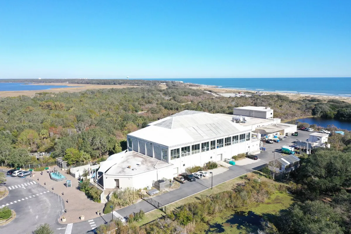 The main property sits amid lush greenery, just steps from the ocean, with a spacious parking area in the foreground. The surroundings are open and inviting, suggesting convenience, tranquility, and effortless access for families or groups.